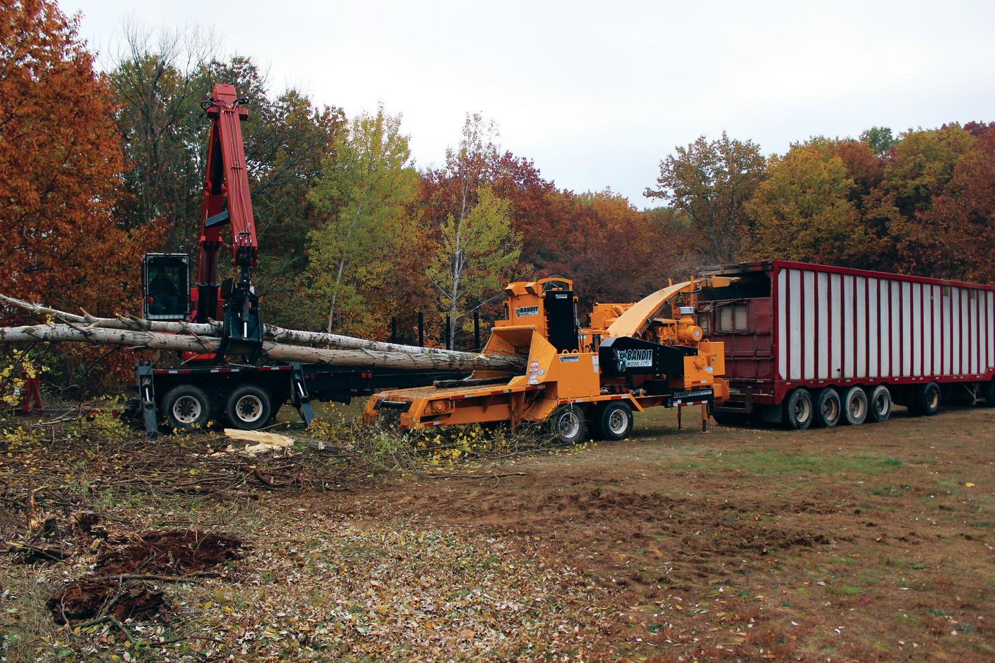 logging runs